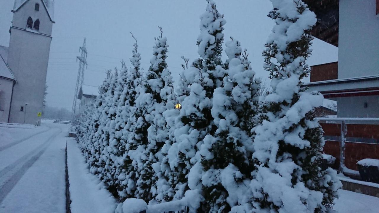 Apart Pfister Aschau Im Zillertal Εξωτερικό φωτογραφία