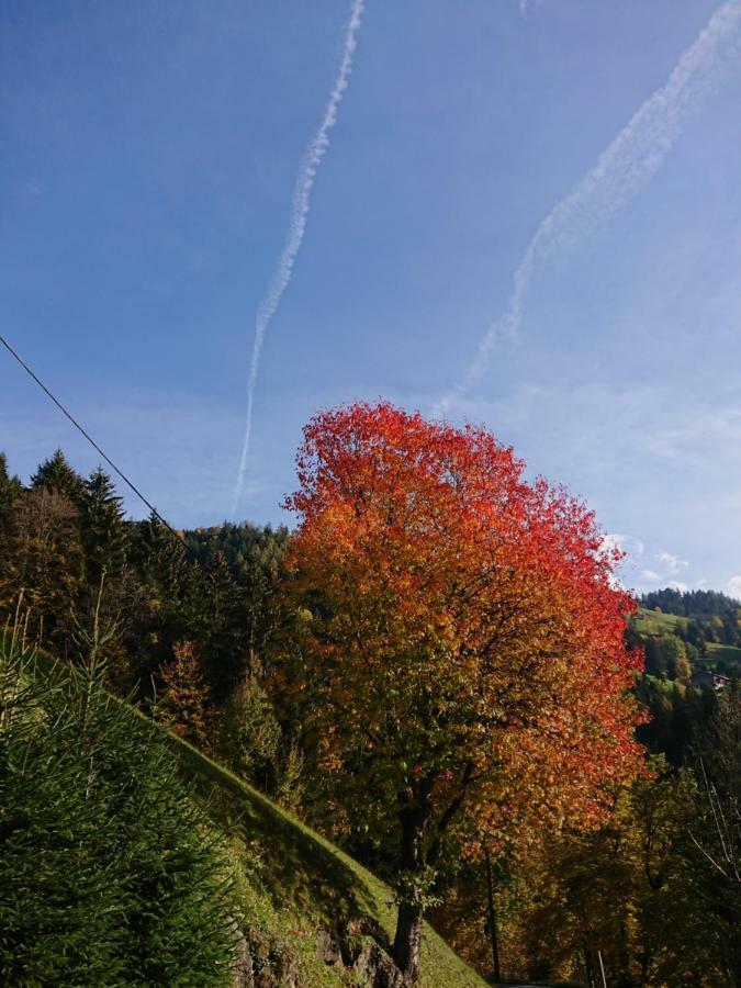 Apart Pfister Aschau Im Zillertal Εξωτερικό φωτογραφία